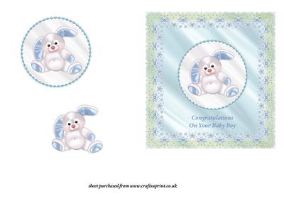 Bunny - Baby Boy