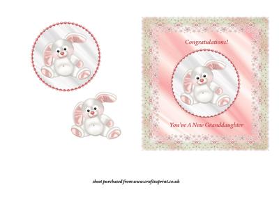 Bunny - New Granddaughter