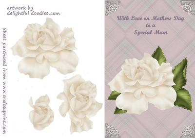 Mothers Day White Rose