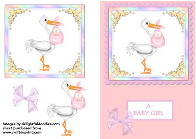 Baby Girl Stork Card