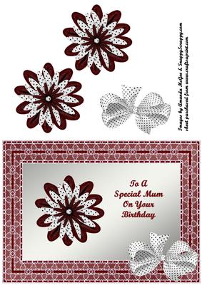 Red & White Flower in Red Lace Frame
