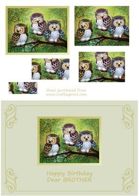 Three Wise Owls Pyramid Card Front - Brother