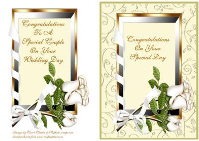 Roses & Ribbon Frame - Wedding Day