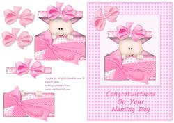 Naming Day - Girl