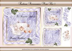 Fashion Accessories Mini Kit 3