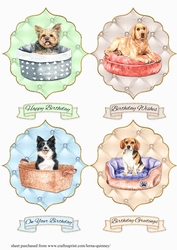 Dog Toppers