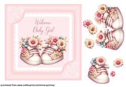Baby Girl Shoes 2