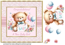 Baby Girl Teddy