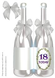 Champagne Bottle - 18 Today