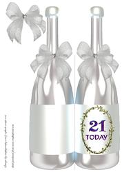 Champagne Bottle - 21 Today