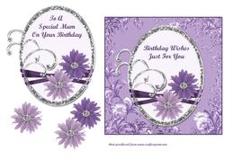 Purple Daisies