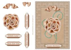 Peach Rose & Lace