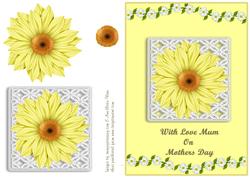 Daisy Chain - Mothers Day
