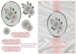 Cameo Daisies in Pink - Mothers Day