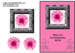 Pink Flower in Black Lace Frame - Mothers Day