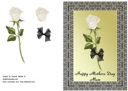 Rose in Black Frame - Mothers Day