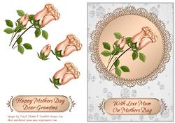 Peach Roses - Mothers Day