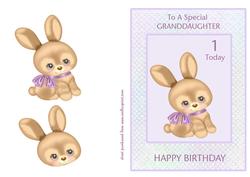 Birthday Bunny - Granddaughter 1 Today