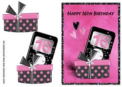16th Birthday I-pod & Present