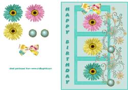 Daisy Frame - Birthday