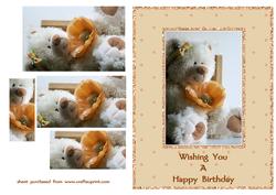 Teddy Bear & Poppy - Happy Birthday