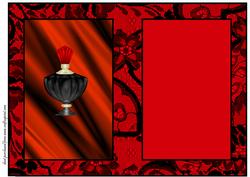 Red & Black Satin & Lace - Insert