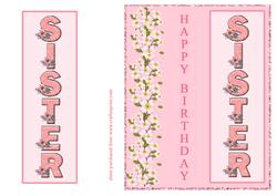 Sister Letters - Birthday