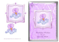 Lilac Iris - Mum Birthday