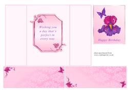 Pink & Purple Iris Gatefold