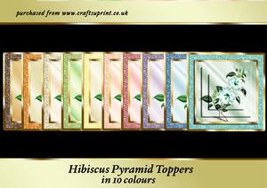 Hibiscus Pyramid Toppers