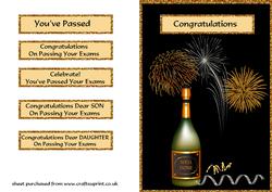 Champagne & Fireworks Exam Success