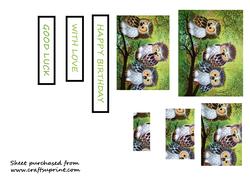 Three Wise Owls