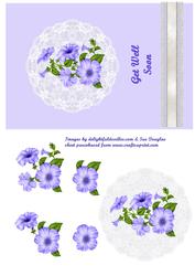 Blue Petunia on Lace
