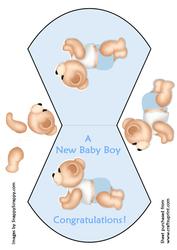 New Baby Boy Teddy