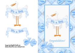 Its a Boy