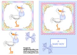 Baby Boy Stork Card
