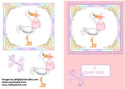 Baby Girl Stork Card