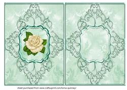 Cream Rose Insert