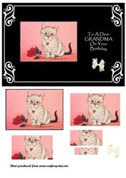 Kitten & Rose - Grandma