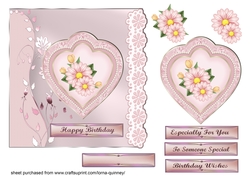 Pink  Daisies