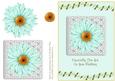 Daisy Chain 2