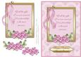 Pink Lace - Special Friend