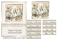 White Roses & Champagne Wedding/Anniversary Card Front