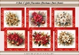 Red & Gold Poinsettia Christmas Card Fronts