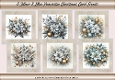 Silver & Blue Poinsettia Christmas Card Fronts