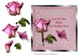 Sweetheart Rose - Mothers Day