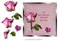 Sweetheart Rose - Valentine