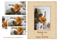Teddy Bear & Poppy - Happy Birthday