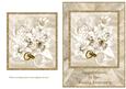 Gold Rings - Wedding Anniversary
