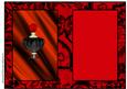Red & Black Satin & Lace - Insert